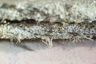 Asbestos Service in Essex County, NJ