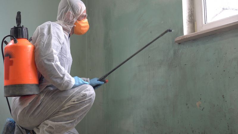 Black Mold Removal in Delray Beach, FL