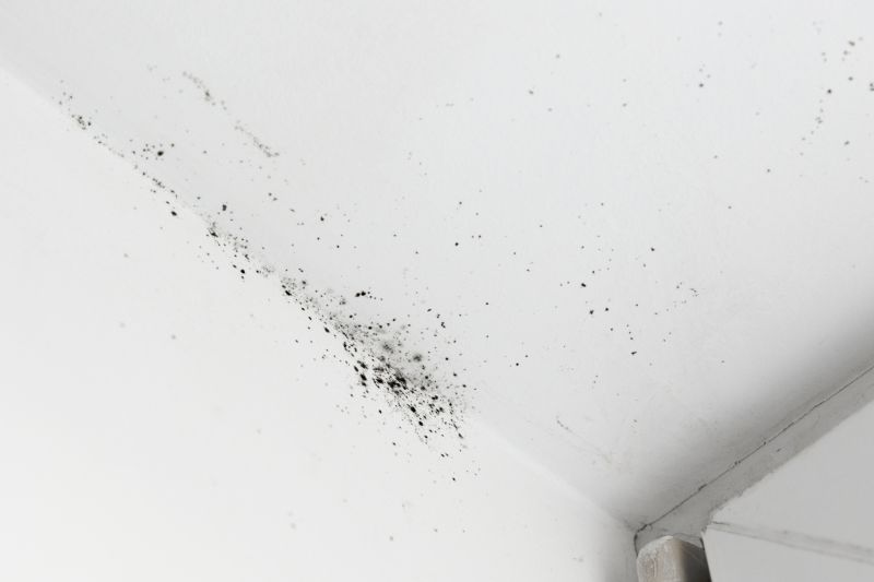 Ceiling Mold Removal in Jupiter, FL