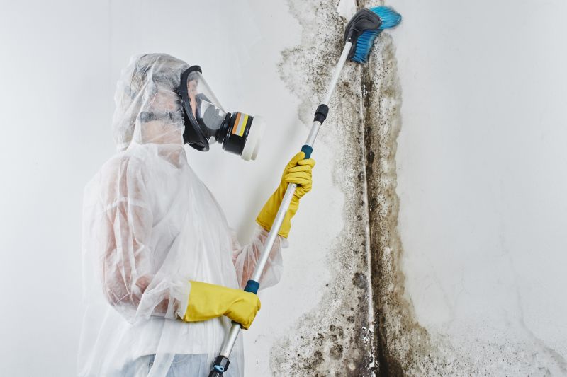 Common Causes Of Mold Growth In Homes