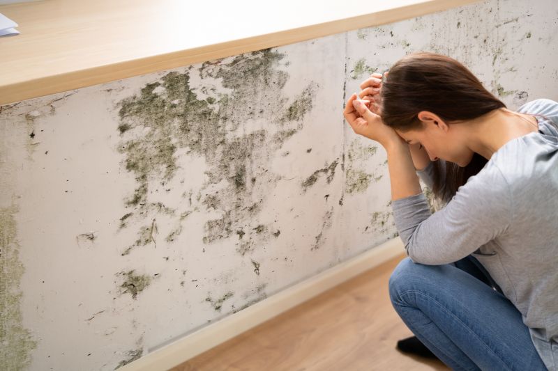 Mold Detection in Fort Lauderdale, FL
