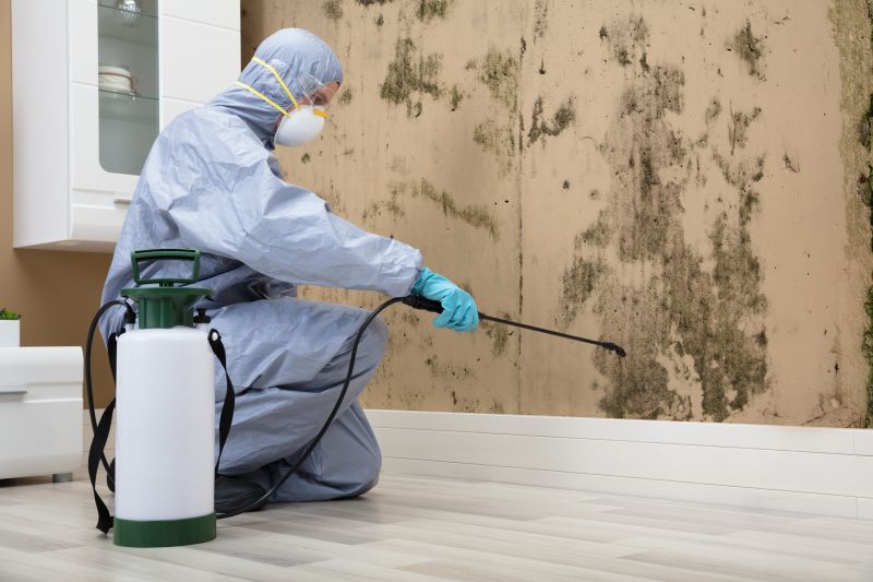 Professional Mold Inspection