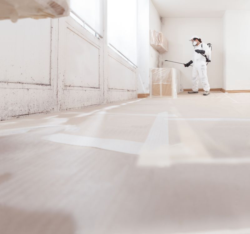 Mold Restoration in Jupiter, FL
