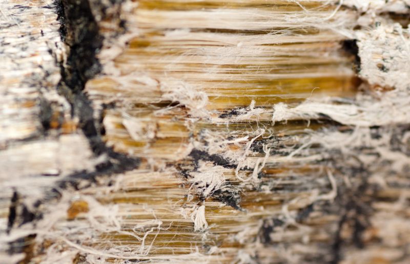 Vermiculite Removal Service in Morris County, NJ