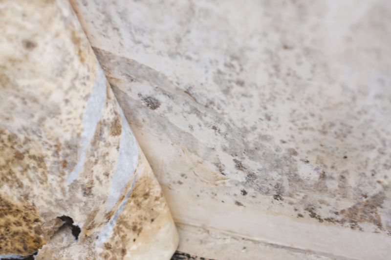 White Mold Mitigation