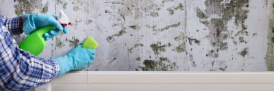 White Mold Mitigation