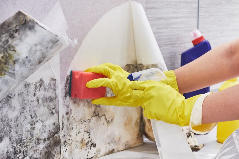 White Mold Mitigation in West Palm Beach, FL
