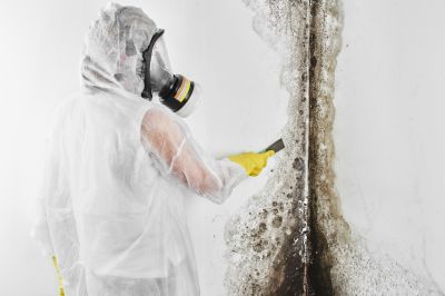 White Mold Mitigation