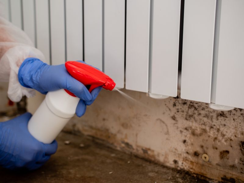 White Mold Mitigation