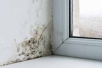 Environmental Conditions Favoring Mold