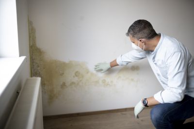 Indoor Mold Inspection