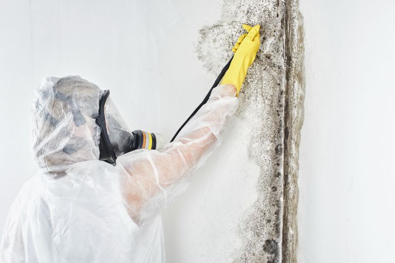Mold Remediation Teams